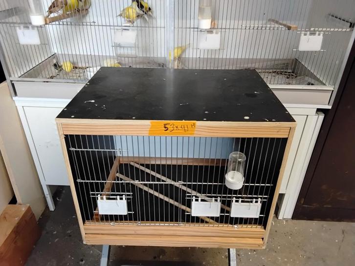 Broedkooitje koppel kanaries van sint, Dieren en Toebehoren, Vogels | Hokken en Kooien, Nieuw, Vogelkooi, Hout, Ophalen