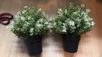 Kunst plantjes (2 stuks), Huis en Inrichting, Woonaccessoires | Kunstplanten en Kunstbloemen, Ophalen of Verzenden, Zo goed als nieuw