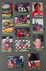 Ayrton Senna Unieke Grid Card Collectie (12 stuks), Ophalen of Verzenden, Zo goed als nieuw, Formule 1
