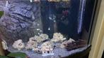 Te koop juwel trigon 190 led black, Dieren en Toebehoren, Vissen | Aquaria en Toebehoren, Ophalen, Gebruikt, Verlichting of Verwarming