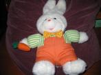Haas in wit in mooie kleding, Ophalen of Verzenden, Zo goed als nieuw, Konijn