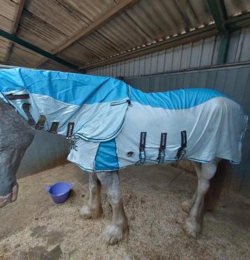 Master regenvliegendeken beschikbaar voor biedingen