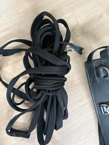 Longeerlijn beschikbaar voor biedingen