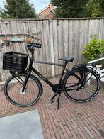 Cortina Common Herenfiets, Fietsen en Brommers, Fietsen | Heren | Herenfietsen, Ophalen, Zo goed als nieuw, Versnellingen