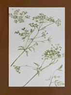 Print Maartje van den Noort, Rechthoekig Staand, A4 of kleiner, Nieuw, Ophalen of Verzenden