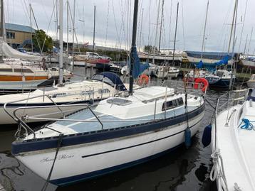 Nette en complete Piewiet 700 beschikbaar voor biedingen
