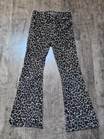 Broek panterprint - Blue Ridge Maat 140, Broek, Meisje, Ophalen of Verzenden, Zo goed als nieuw