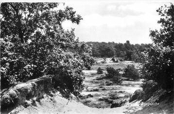 (387-246-039) Ermelo Bosgezicht beschikbaar voor biedingen