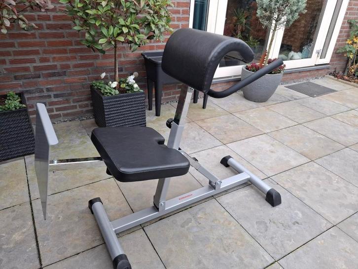 Kettler backtrainer, Sport en Fitness, Fitnessmaterialen, Zo goed als nieuw, Overige typen, Rug, Ophalen