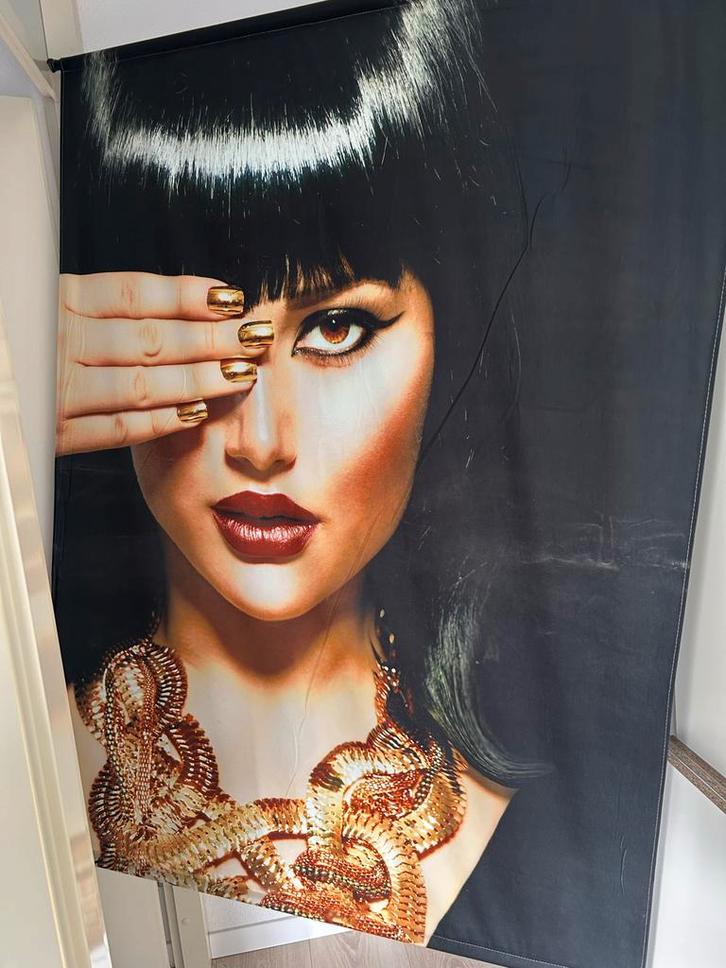 Mooi Wandkleed, Huis en Inrichting, Woonaccessoires | Schilderijen, Tekeningen en Foto's, Zo goed als nieuw, Print, 75 cm of meer