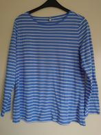 trui shirt Hema maat XL, Kleding | Dames, Truien en Vesten, Blauw, Maat 46/48 (XL) of groter, Ophalen of Verzenden, Gedragen