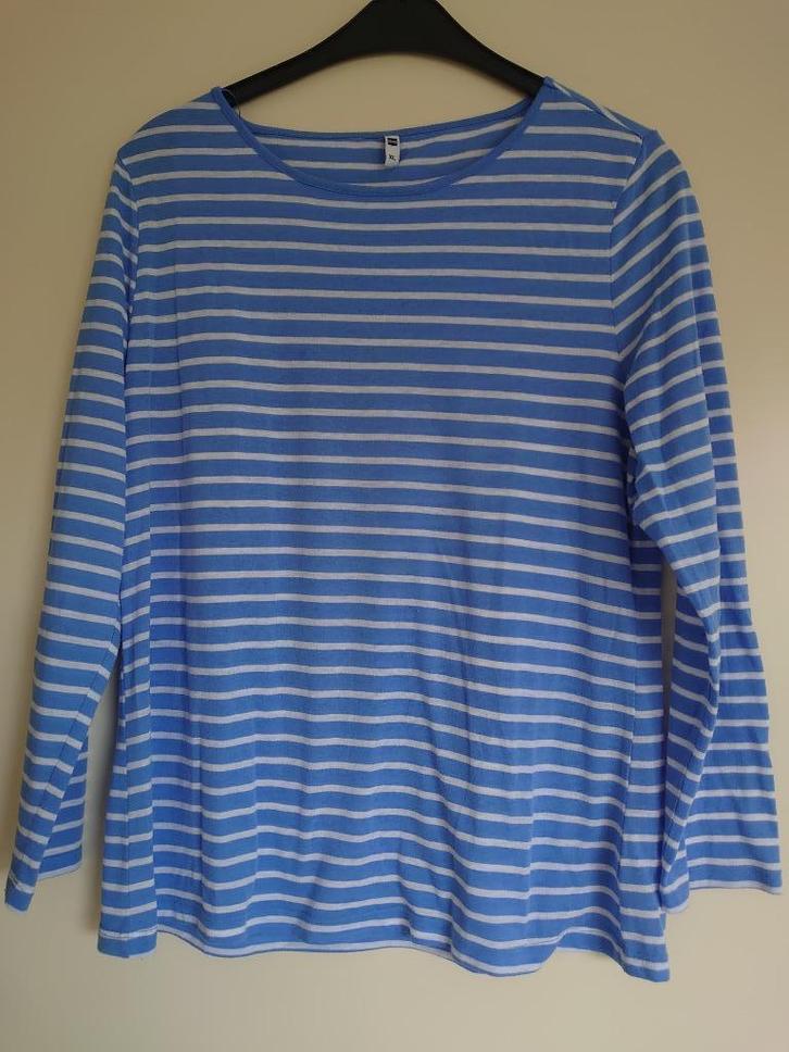 trui shirt Hema maat XL, Kleding | Dames, Truien en Vesten, Gedragen, Maat 46/48 (XL) of groter, Blauw, Ophalen of Verzenden