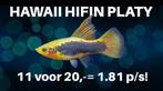 Hawaii HiFin Platy Deal!, Dieren en Toebehoren, Vis, Zoetwatervis