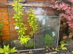 Niew hr++ glas., Tuin en Terras, Tuinhuizen, Ophalen, Nieuw, Metaal, Overige typen