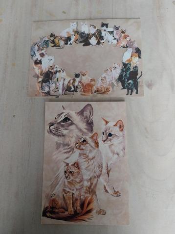 Mooie ansicht kaart met envelop 4 lichte katten NIEUW beschikbaar voor biedingen