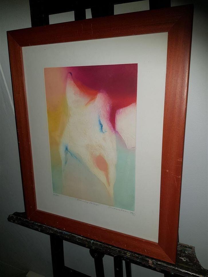 Jean Richardson [Morning Blaze], kleurenets, Antiek en Kunst, Kunst | Etsen en Gravures, Ophalen of Verzenden