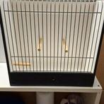 Te koop tt kooien, Dieren en Toebehoren, Vogels | Hokken en Kooien, Ophalen, Zo goed als nieuw, Hout, Vogelkooi