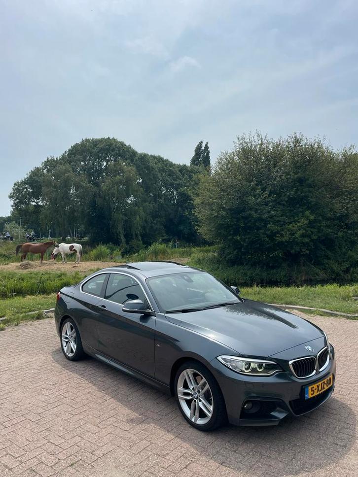 BMW 2-Serie 2.0 220IA 135KW Coupe Aut8 2014 Grijs, Auto's, BMW, Particulier, 2-Serie, Benzine, C, Coupé, Automaat, Origineel Nederlands