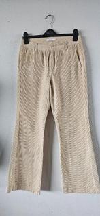 beige ribben flared broek van sissy boy maat s (12225), Verzenden, Zo goed als nieuw, Beige, Lang