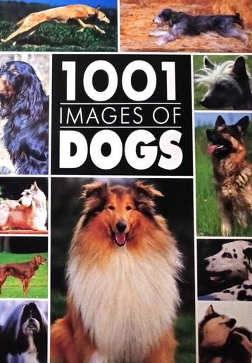 1001 Images of Dogs - Bramley Books / 9780517069424   beschikbaar voor biedingen