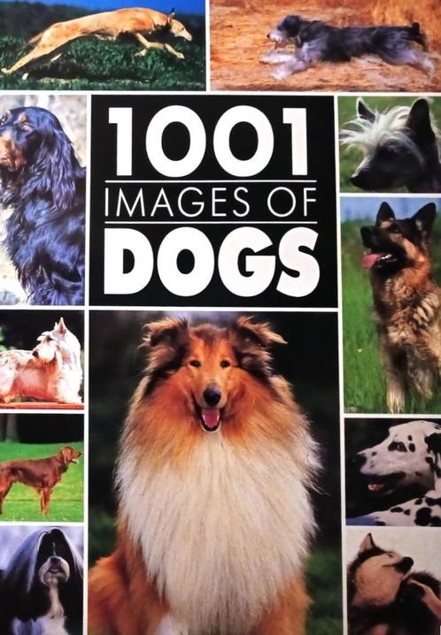 1001 Images of Dogs - Bramley Books / 9780517069424, Boeken, Dieren en Huisdieren, Zo goed als nieuw, Honden, Ophalen of Verzenden