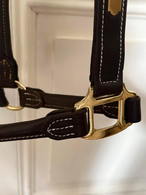 Leren halster xfull, Dieren en Toebehoren, Paarden en Pony's | Hoofdstellen en Tuigage, Zo goed als nieuw, Overige soorten, Ophalen