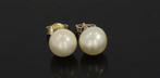 Grote parel 14k gouden dames oorbellen vintage stekers, Sieraden, Tassen en Uiterlijk, Antieke sieraden, Ophalen of Verzenden