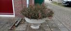 Planten bak, Ophalen of Verzenden, Gebruikt, Rond