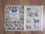 Borduur telpatroon Remy's boerderij-dieren met DMC kleurcode, Ophalen of Verzenden, Nieuw, Handborduren, Patroon