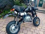 Mooie honda monkey, Ophalen, Overige typen, Nieuw, Chinees