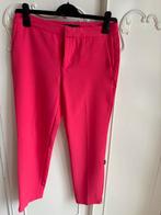 Nieuw fuchsia roze pantalon Zara maat S 36, Kleding | Dames, Broeken en Pantalons, Zara, Nieuw, Ophalen of Verzenden, Roze