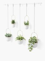 Umbra Triflora 5 Large White plantenbak hangplanten, Tuin en Terras, Ophalen of Verzenden, Rond, Hout