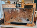 OSB terrarium, Ophalen, Gebruikt, Terrarium of Paludarium