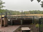Degelijke LIBERTY stapmolen trainingsmolen paarden, Dieren en Toebehoren, Stalling en Weidegang