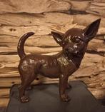 Chihuahua beeld bruin, Verzamelen, Beelden en Beeldjes, Ophalen of Verzenden, Dier