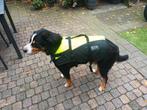 Zwemvest Hond XL, Dieren en Toebehoren, Ophalen, Zo goed als nieuw