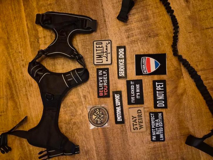 Trainingstuig met trainingslijn en dogpatches, Dieren en Toebehoren, Honden-accessoires, Nieuw, Ophalen of Verzenden