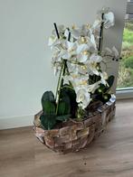 Schelpenvaas met orchidee, Ophalen