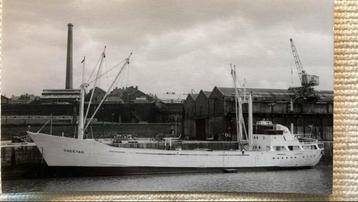CHEETAH  1960  J. Cremer in Britse haven beschikbaar voor biedingen