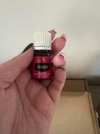 Motivation – 5ml (blend) young living, Ophalen of Verzenden, Nieuw