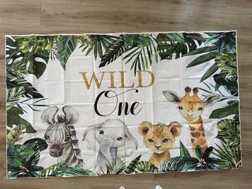 Wild One Verjaardag Fotoachtergrond /Achtergrond beschikbaar voor biedingen