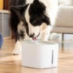 Drinkfontein kat & hond, Origineel cadeau, Gratis verzending, Dieren en Toebehoren, Kattenvoerbakken en Drinkbakken, Verzenden