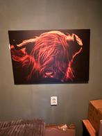 Mooi schilderij van schotse hooglander, Ophalen, Zo goed als nieuw, Schilderij, 75 cm of meer