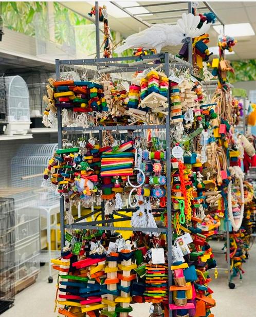 papegaaien speelgoed grootste van nederland, Dieren en Toebehoren, Vogels | Toebehoren, Nieuw, Speelgoed, Ophalen of Verzenden