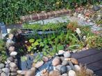 Vijver, Tuin en Terras, Ophalen, Gebruikt