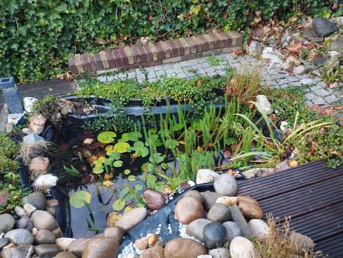 Vijver, Tuin en Terras, Vijvers, Gebruikt, Ophalen