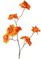 OPRUIMING - HORTENSIA TAK - TOP ART - VAN 9 EURO NU 5 EURO