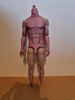 Limtoys body 1/6 schaal, Ophalen, Zo goed als nieuw