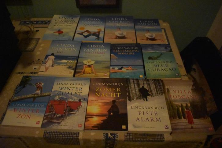 16 boeken van Linda van Rijn, €2,50 per stuk, Boeken, Thrillers, Zo goed als nieuw, Nederland, Ophalen of Verzenden