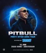 2 tickets staanplaatsen  Pitbull 15 juni, Tickets en Kaartjes, Twee personen, Juni